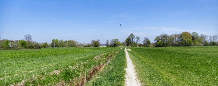 Summer agriculture landscape photo