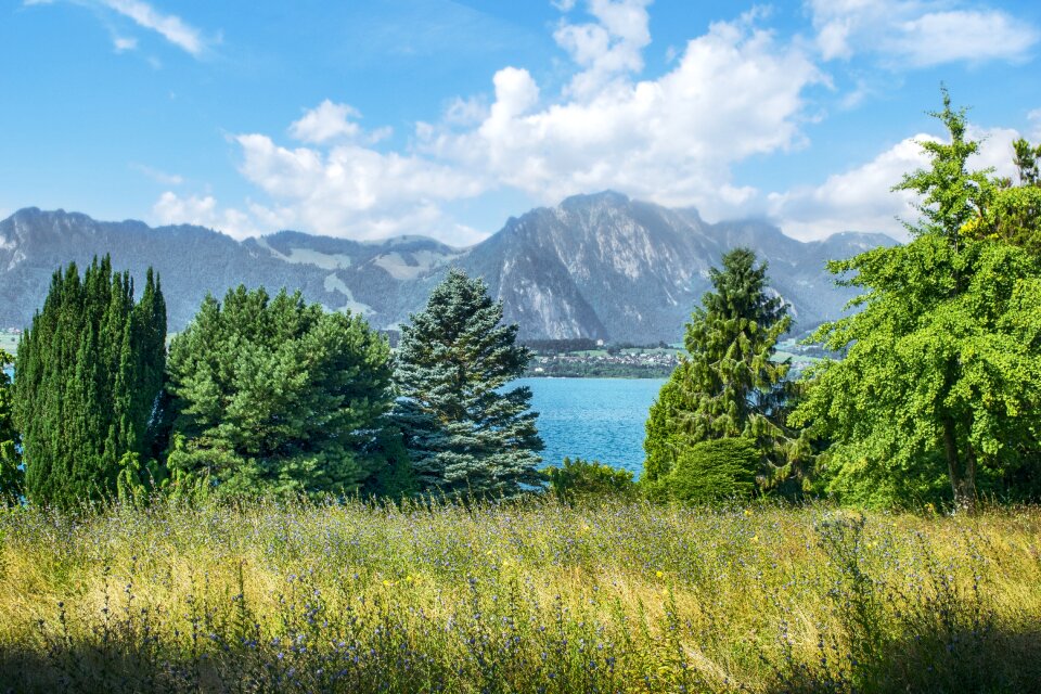 Landscape sky summer