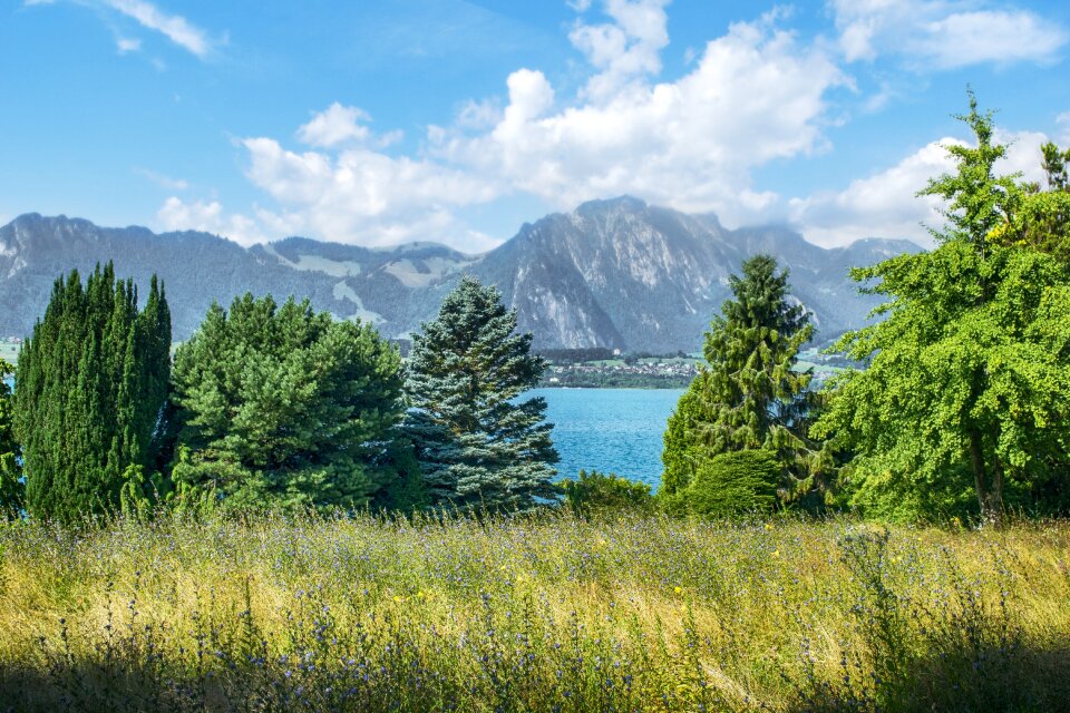 Landscape sky summer photo