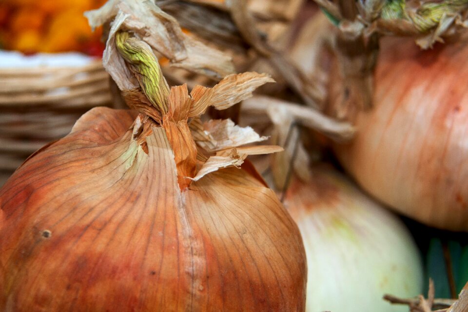 Organic vegetarian fresh