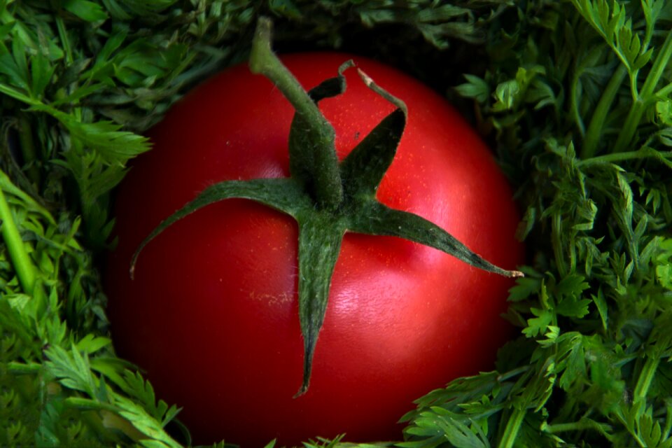 Food healthy fresh