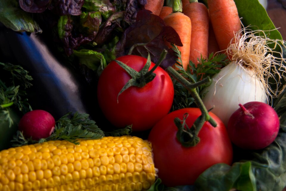 Eggplant carrot vegetables