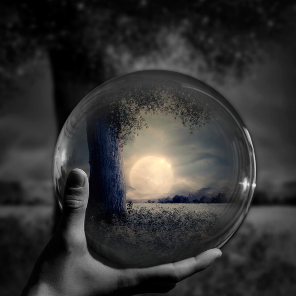 Sphere forest black and white