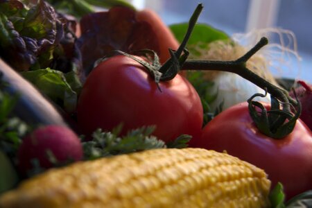 Lettuce vegetables fresh photo