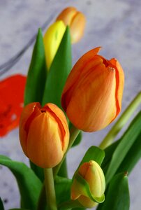 Garden season bouquet of flowers