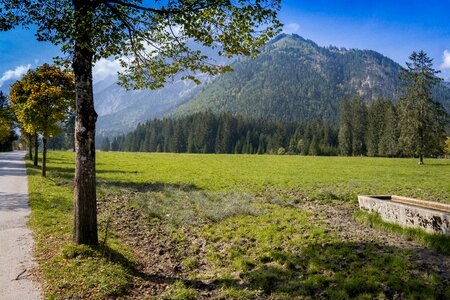 Scenic rest meadow