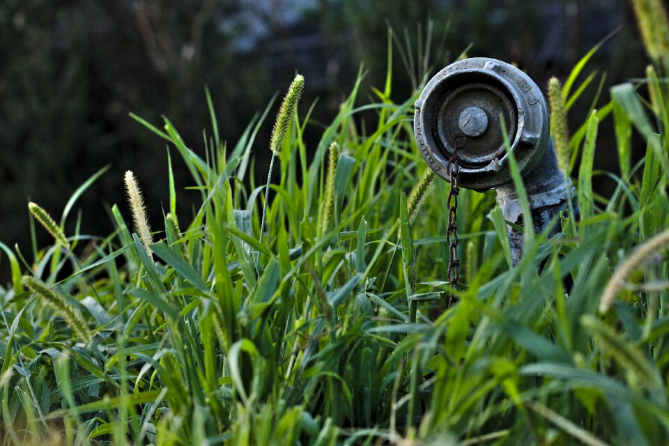 Water inlet green still