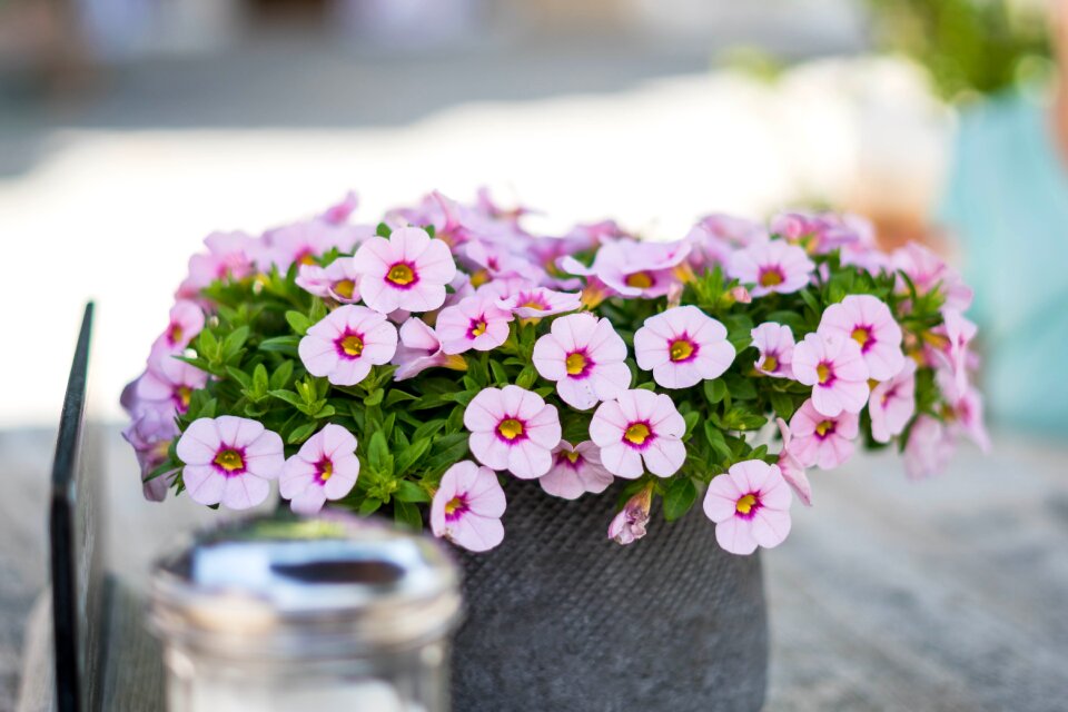 Summer deco romantic