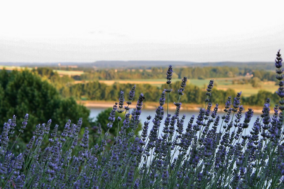 Normandy river europe