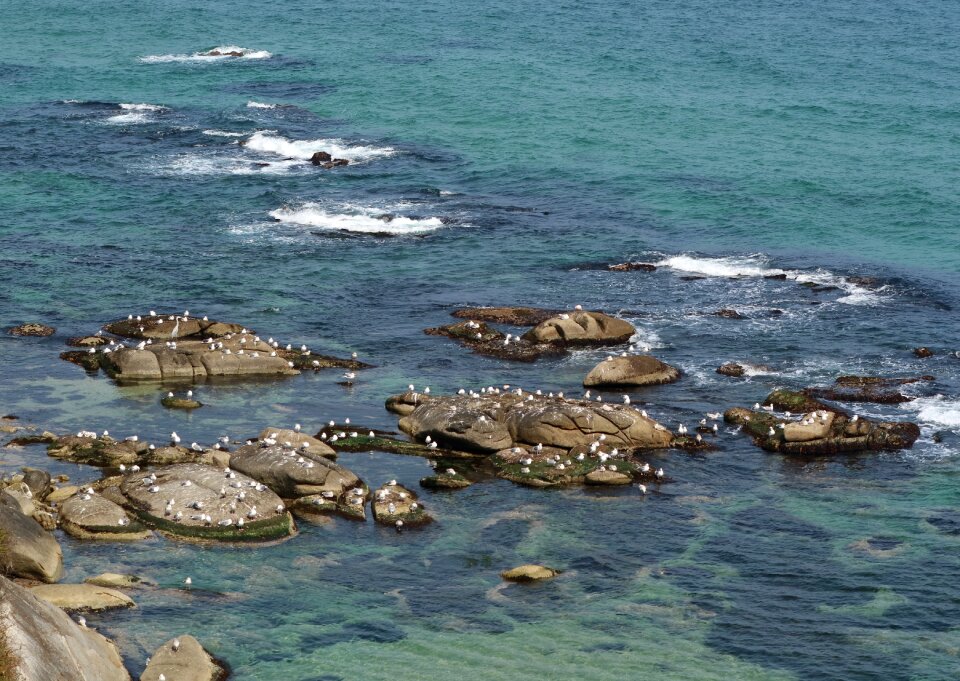 The body of water ocean coast photo