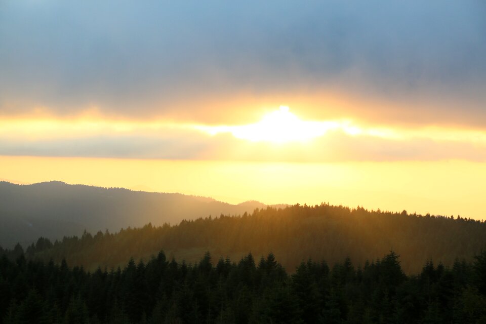 Clouds forest solar