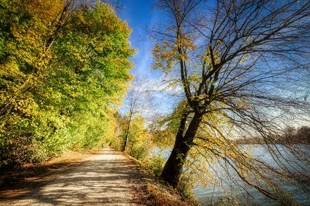 Trees trail landscape