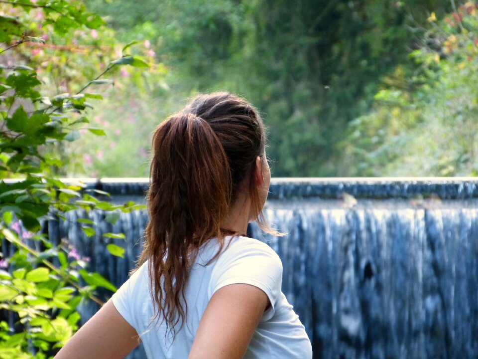 Water waterfall forest