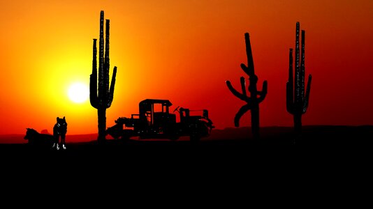 Wolves old car desert