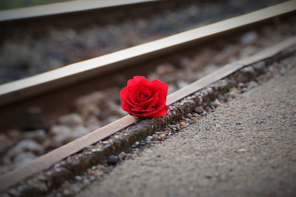 Of suicide on rail loving memory condolence