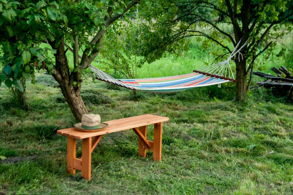 Landscape the idyll summer