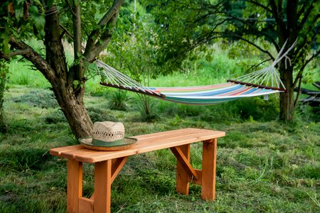 Landscape the idyll summer