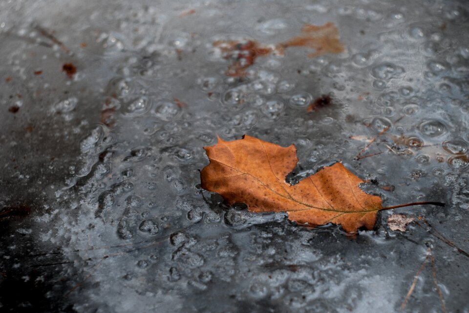 Background winter sheet