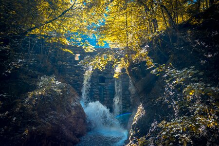 Clammy bach water photo