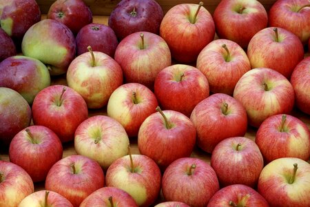 Ripe vitamins red