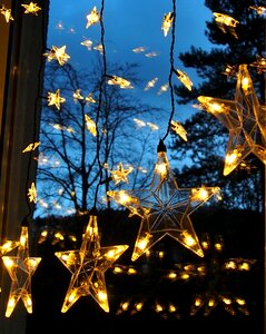 Decoration poinsettia lighting