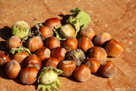 Nuts fruit nature