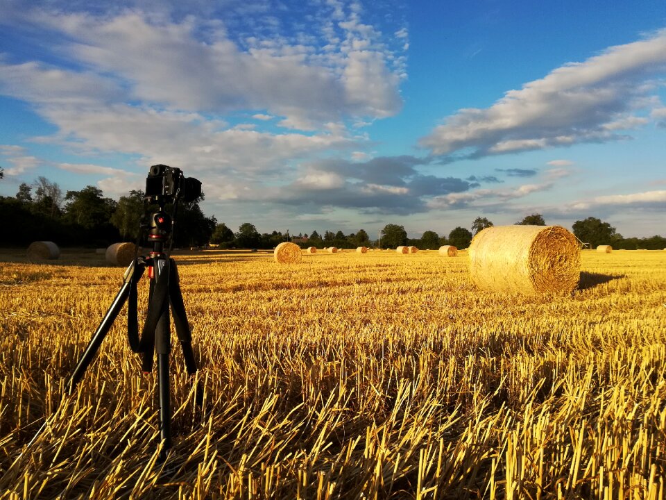 Field photograph photography
