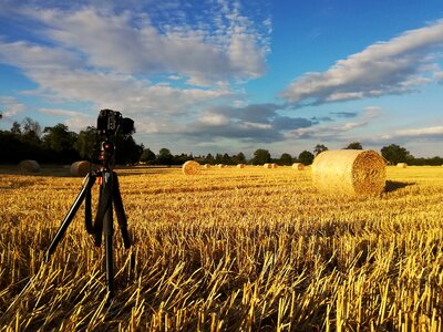 Field photograph photography