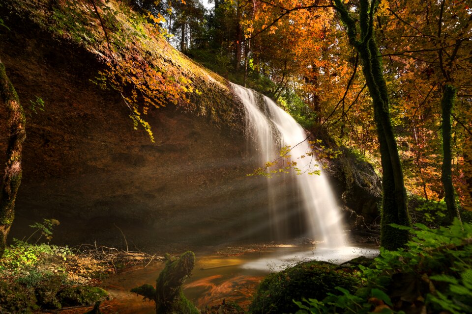 Sunbeam forest landscape