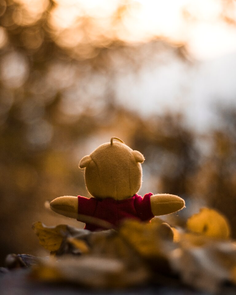 Soft toy plush bokeh