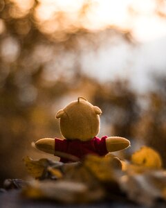 Soft toy plush bokeh