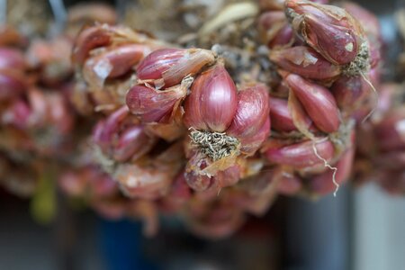 Marketplace china produce