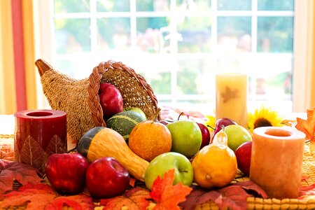 Autumn harvest holiday photo