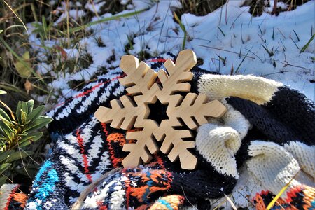 Wooden snowy icy