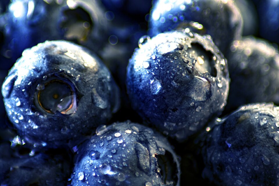 Wild berry berry bickbeere