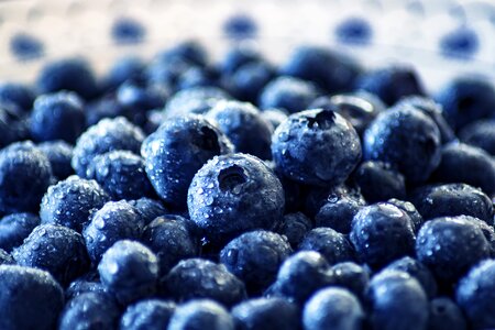 Wild berry berry bickbeere