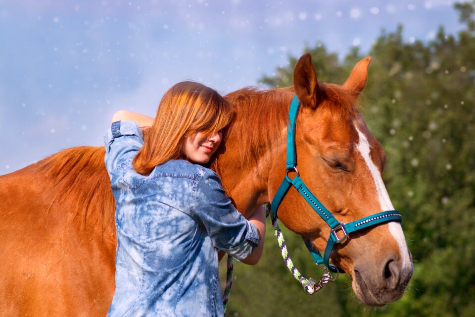 Portrait graze farm