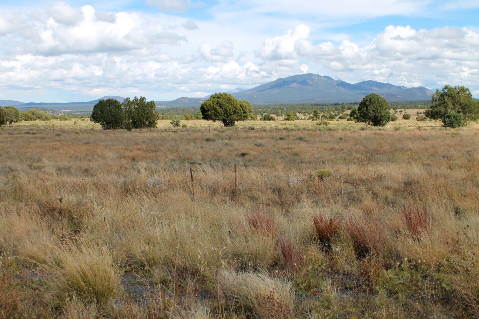 Arizona landscape mountain