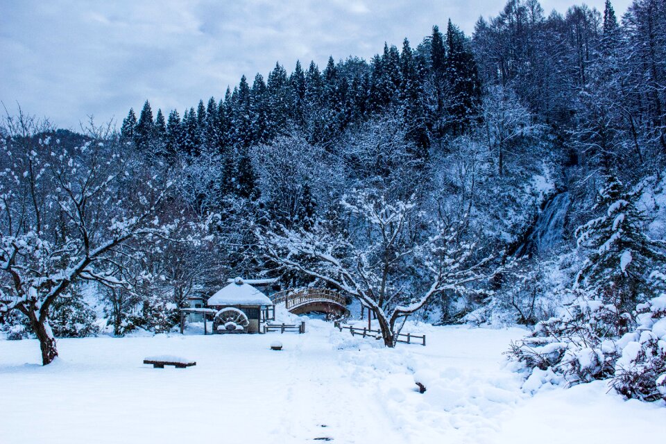 Snow heavy snow akita