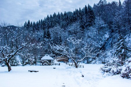 Snow heavy snow akita photo