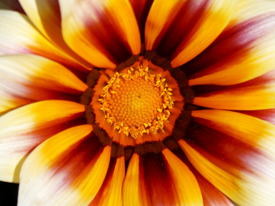 Detail background texture