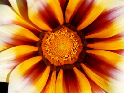 Detail background texture