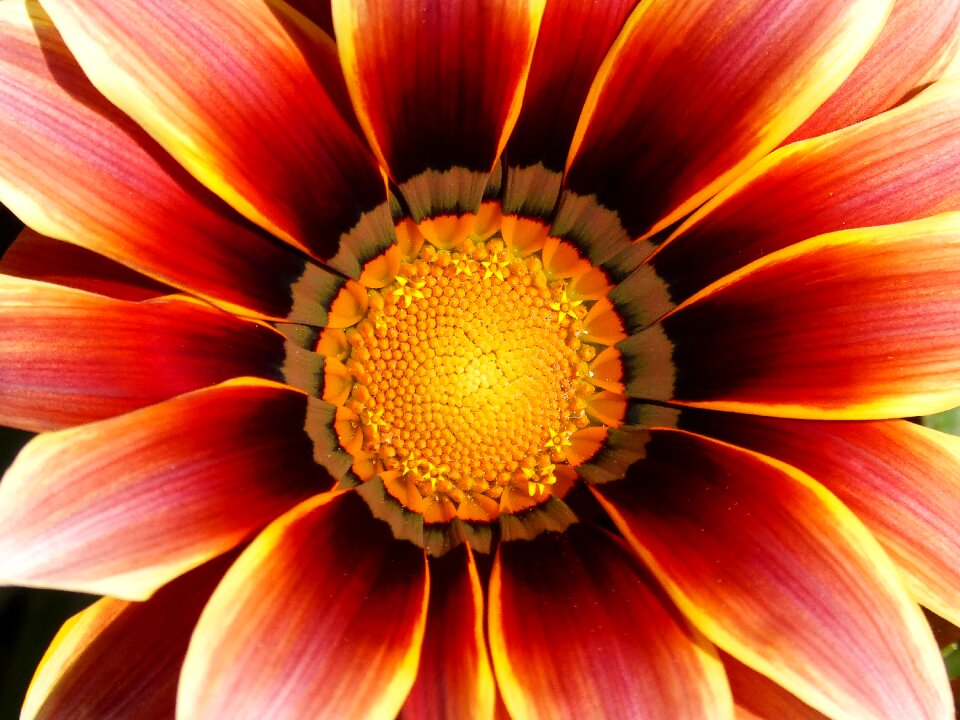 Detail background texture
