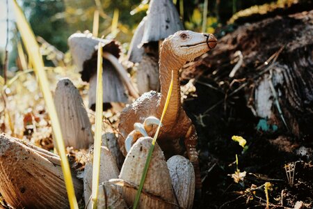 Dinosaur forest dino photo