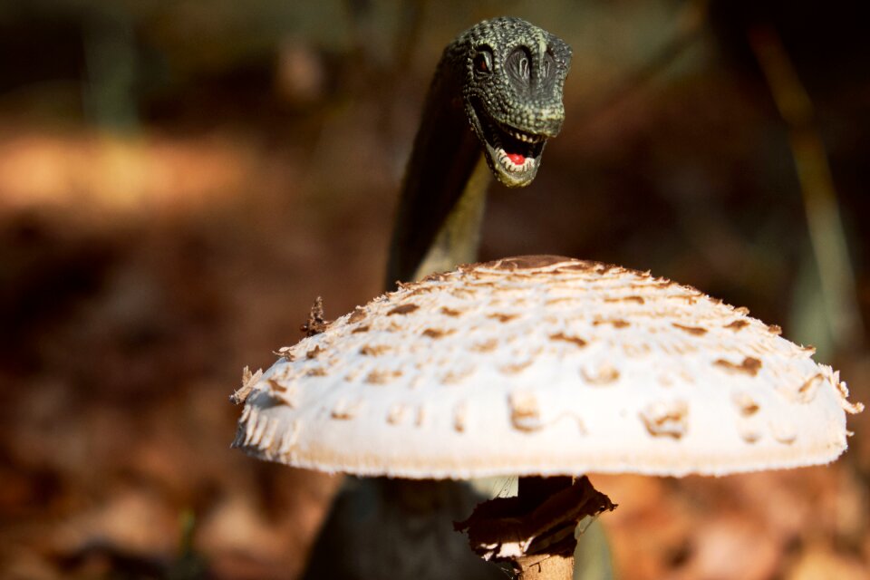 Dinosaur forest dino