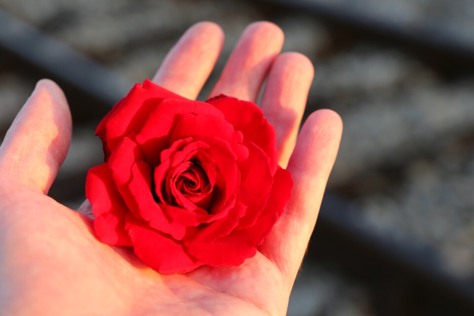 With love remembering all victims of suicide on rail