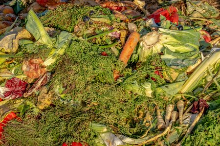 Waste fruit vegetables