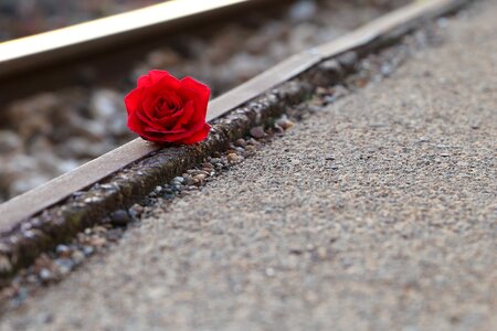Condolence humble loving memory