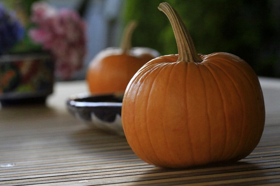 Halloween auyama fruit