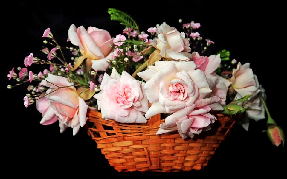Basket garden arrangement